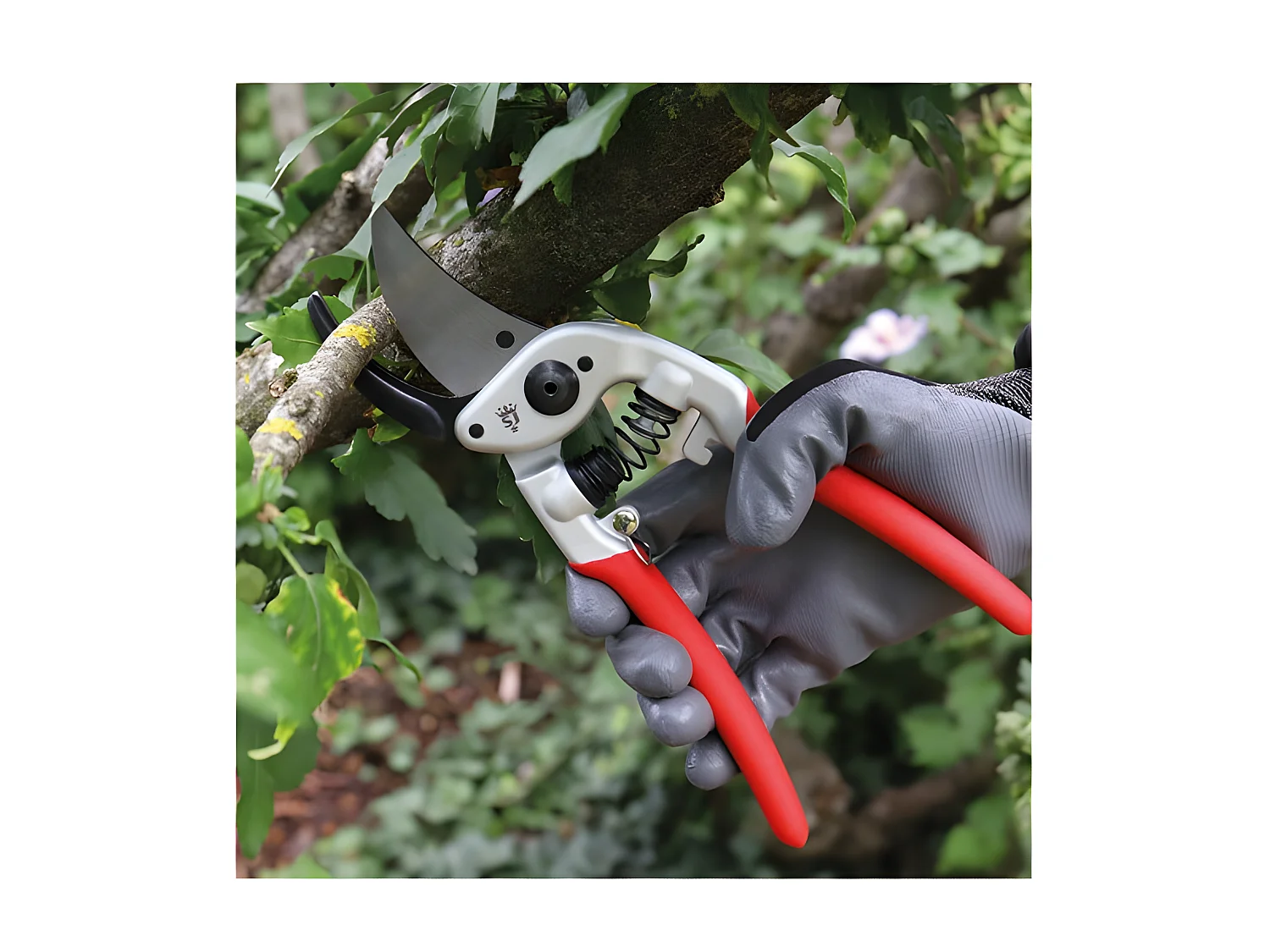 Sécateur forgé poignées bimatière grand modèle