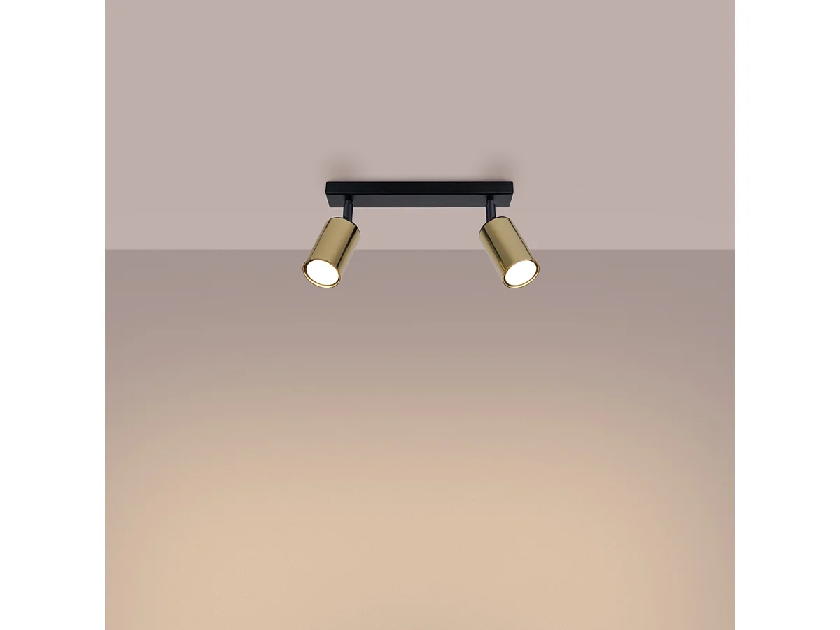 Plafondlampen Winx Modern Van  - 2 Lichtbronnen - L.30 X H.18,5 Cm - Zwart Goud