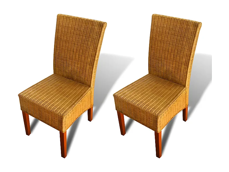 Lot de 2 chaises de salle à manger cuisine design classique rotin naturel marron CDS020705
