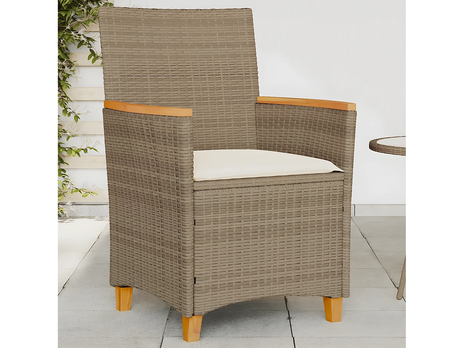 Chaises de jardin coussins lot de 2 beige résine tressée bois