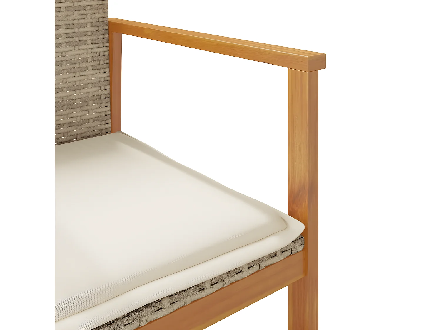 Chaises de jardin coussins lot de 2 beige résine tressée bois