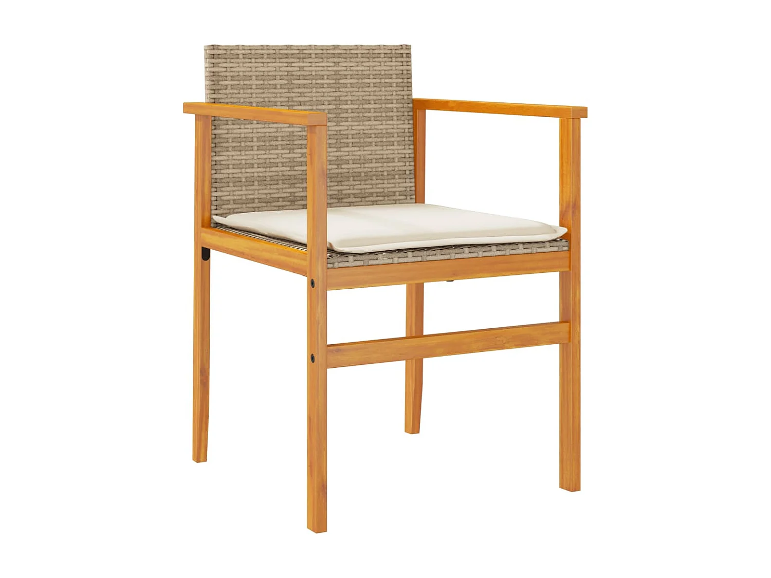 Chaises de jardin coussins lot de 2 beige résine tressée bois