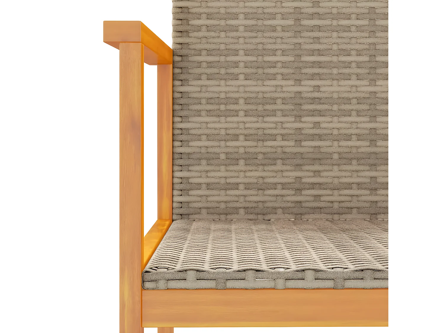 Chaises de jardin lot de 2 beige résine tressée et bois massif