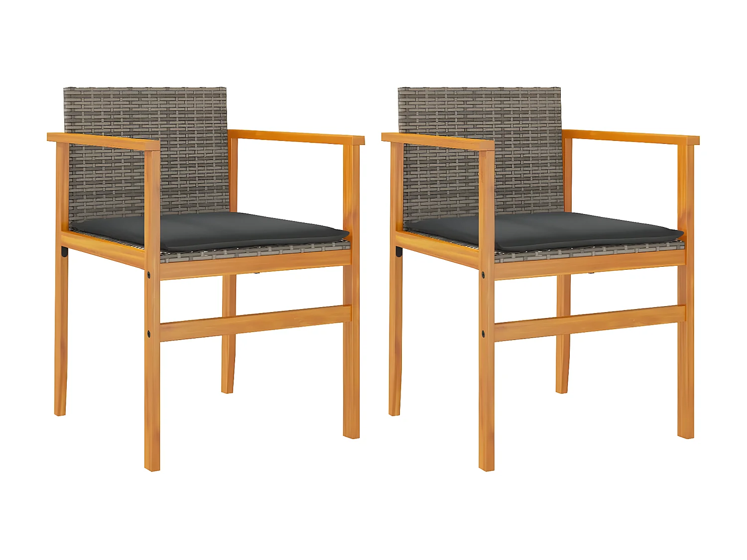 Chaises de jardin coussins lot de 2 gris résine tressée et bois