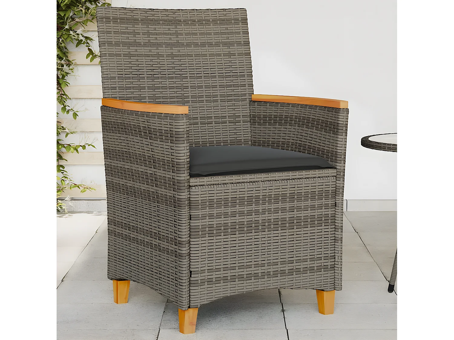 Chaises de jardin coussins lot de 2 gris résine tressée et bois