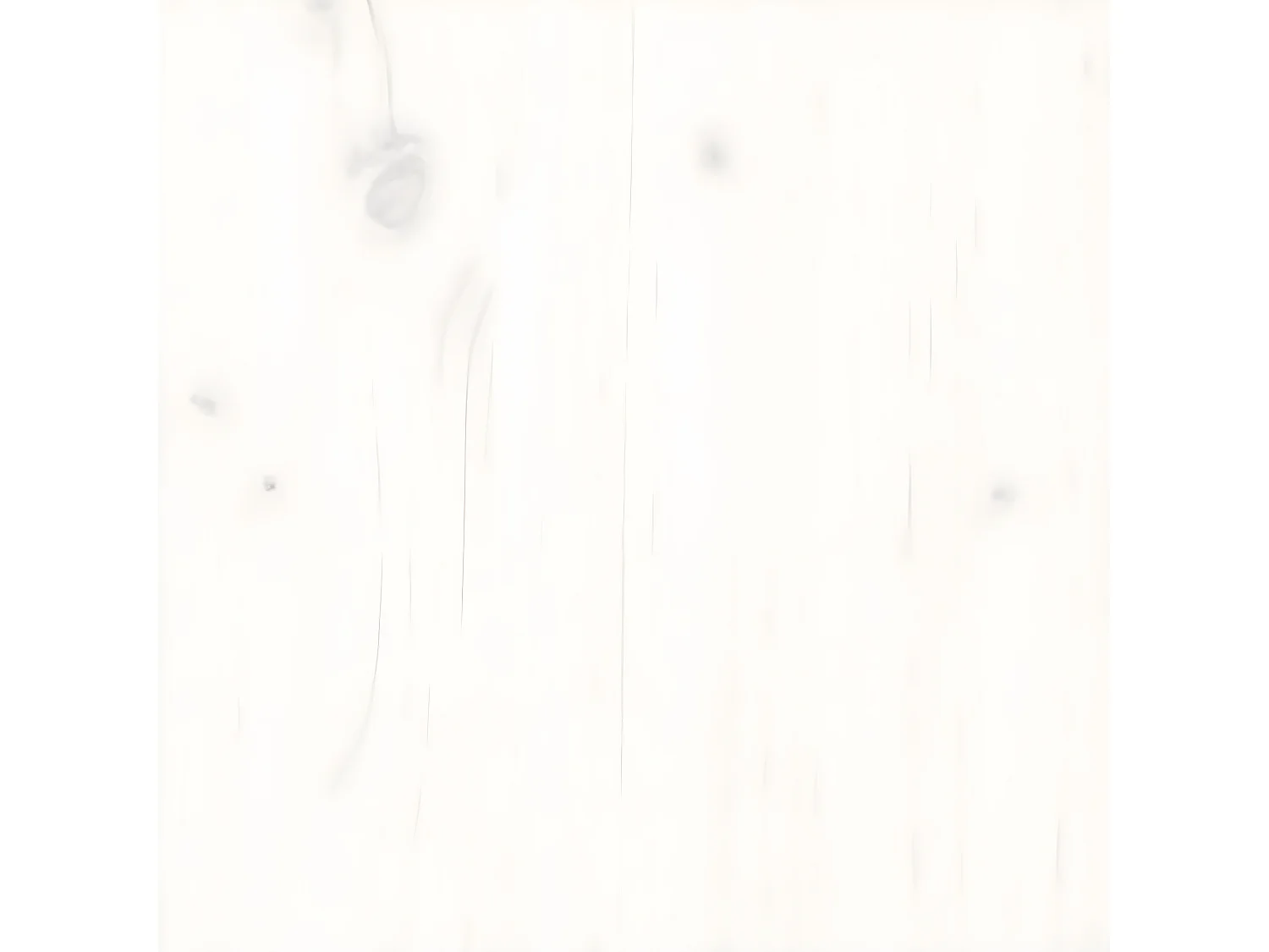 Chaises de jardin 2 pcs blanc 40,5x48x91,5 bois massif de pin