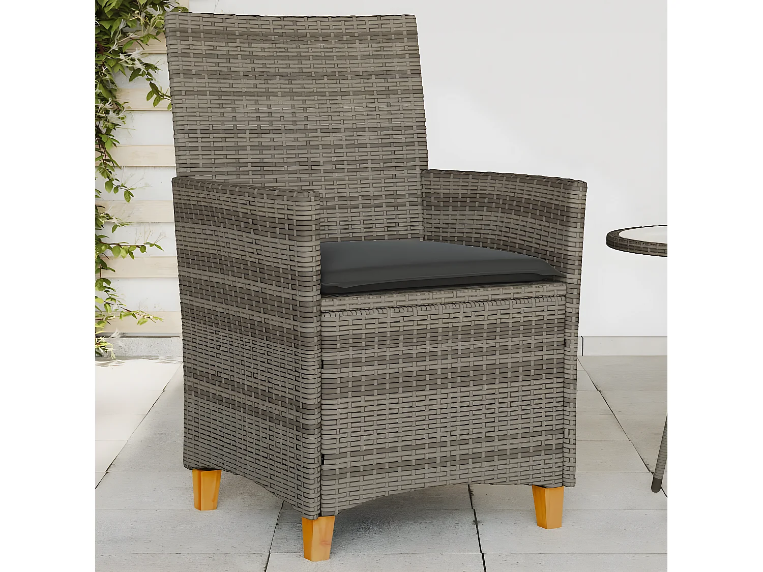 Chaises de jardin coussins lot de 2 gris résine tressée et bois