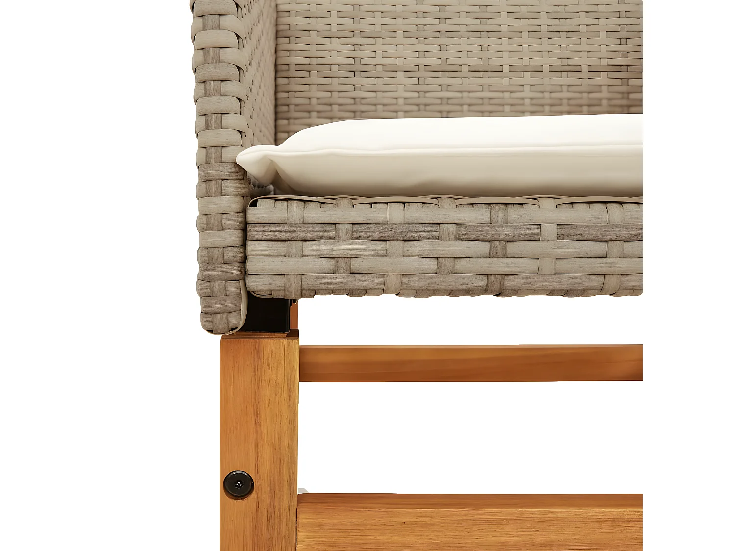 Chaises de jardin coussins lot de 2 beige résine tressée bois