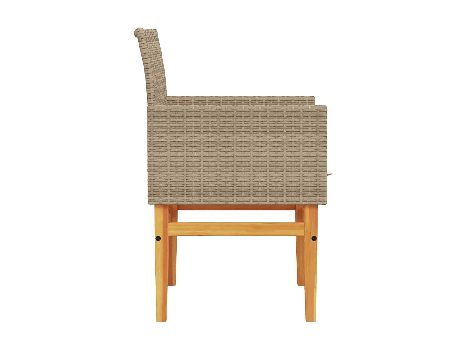 Chaises de jardin coussins lot de 2 beige résine tressée bois