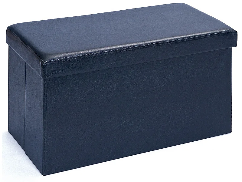 Boîte de Rangement Pliable "Basics" 76cm Noir