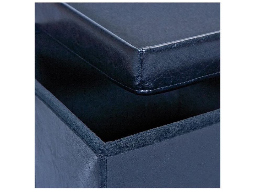 Boîte de Rangement Pliable "Basics" 38cm Noir