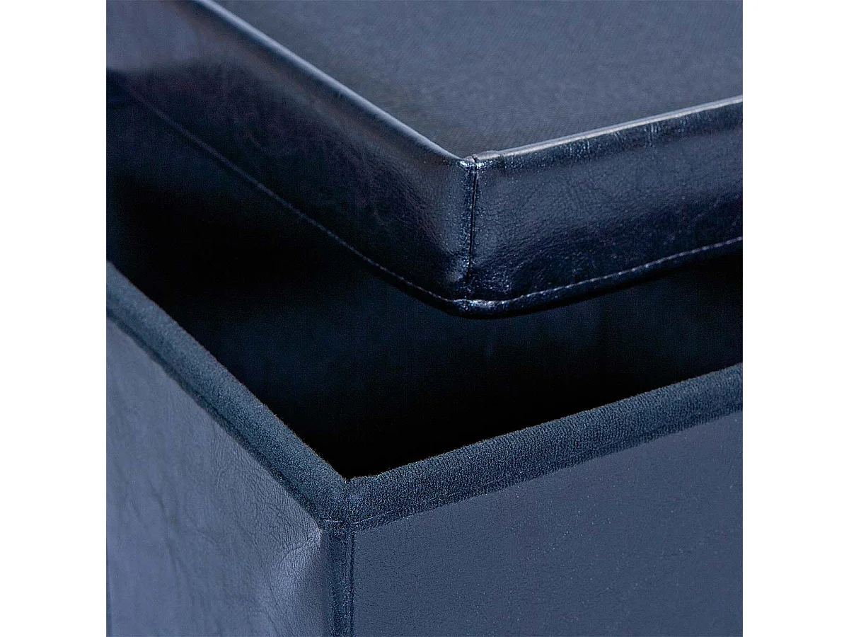 Pouf Coffre Pliable "Basics" 38cm Noir