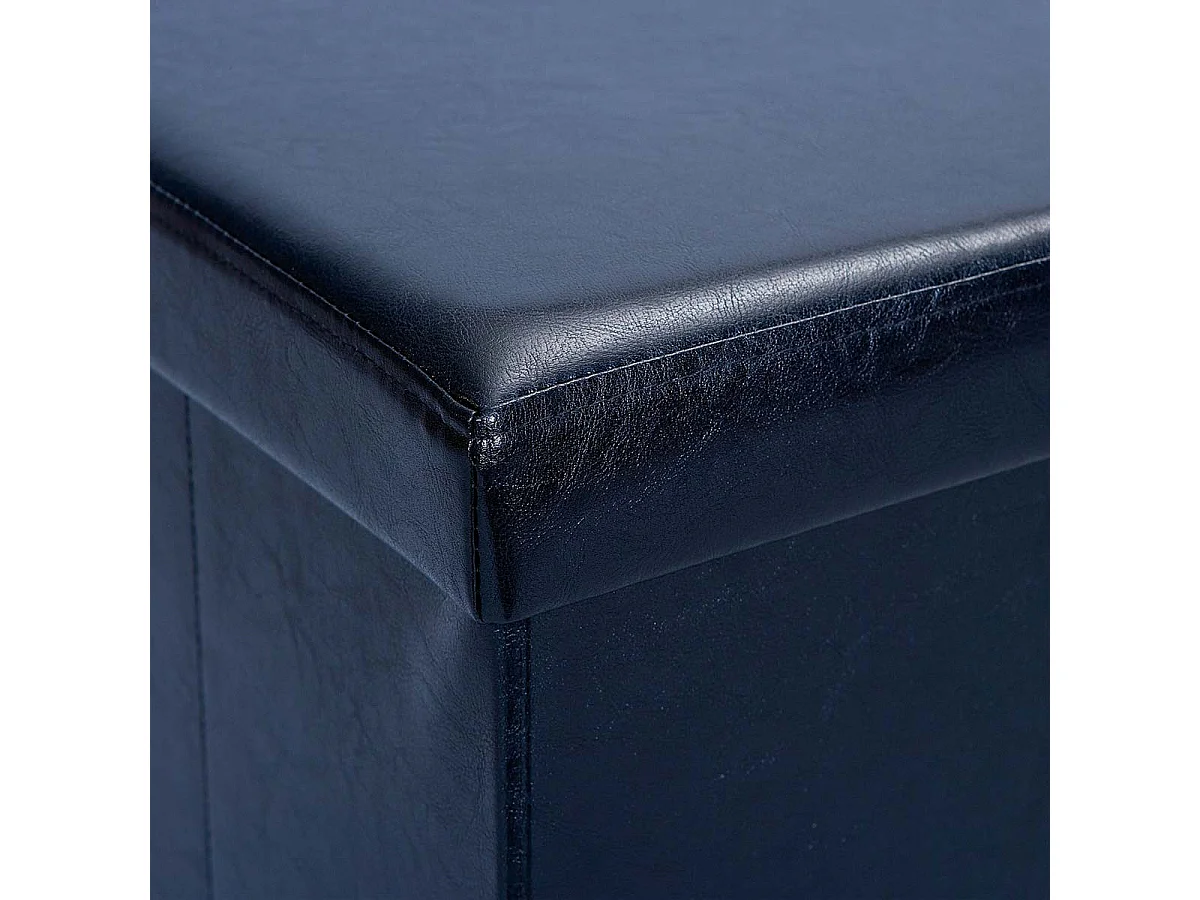 Pouf Coffre Pliable "Basics" 38cm Noir