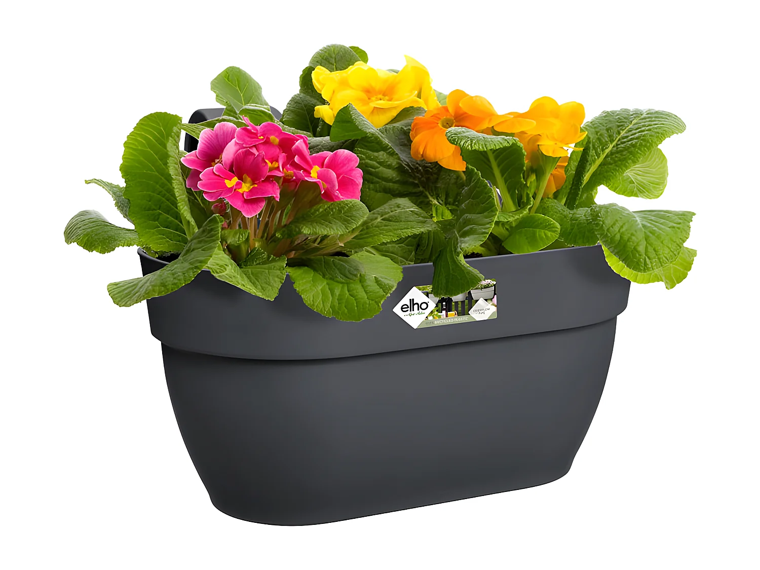 Plantenbak - Medium - Zwart - 5,8 L