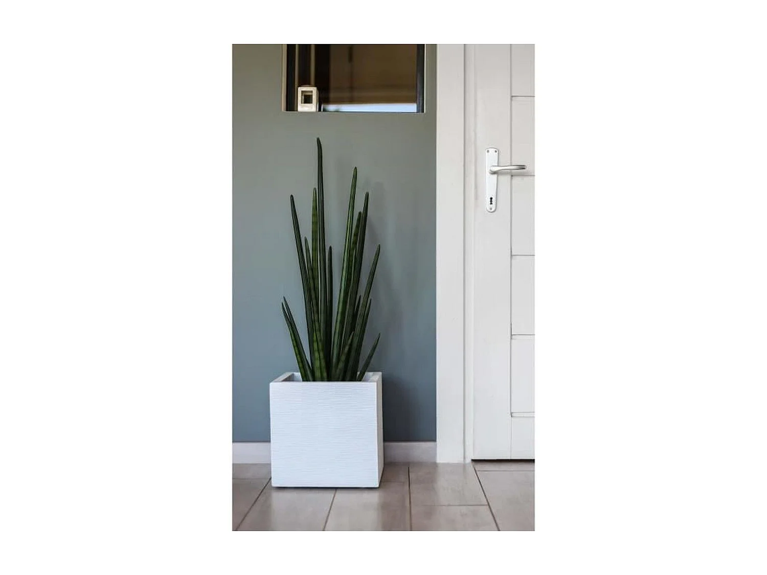 Jardinière carrée Graphit Up 29,5 x 29,5 x 29,5 cm - 21 L - Blanc cérusé - Eda