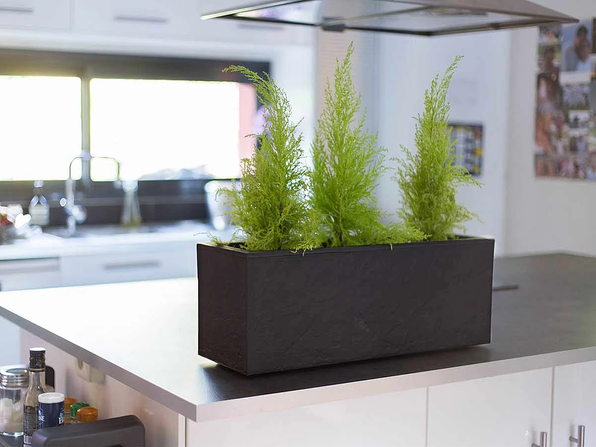Jardinera rectangular Volcania Up efecto piedra antracita - 59 x 19,5 x 22,8 cm