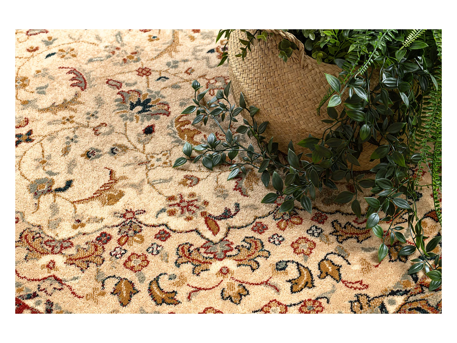 Wollen tapijt OMEGA Adagio Vintage, rozet smaragdkleur 170x235 cm