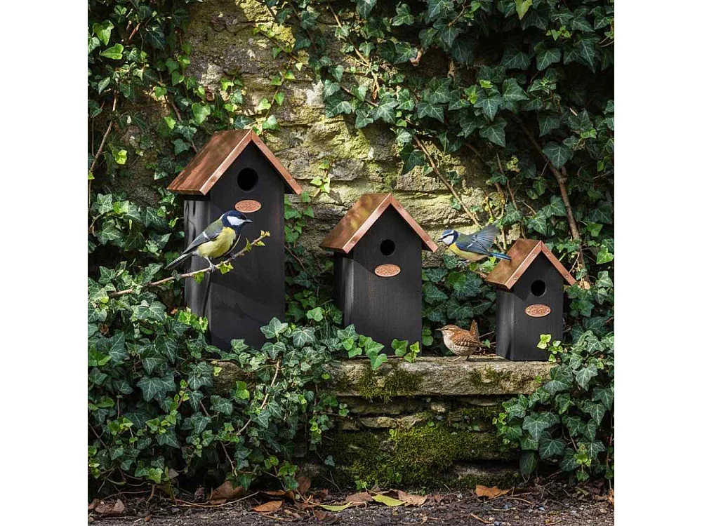 Nichoir à oiseaux en pin et cuivre Mésange bleue