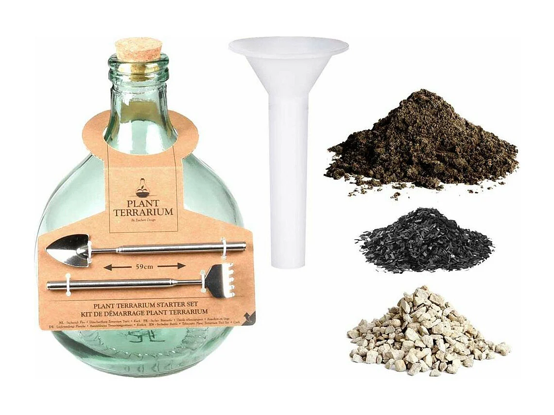 Kit terrarium végétal à faire soi-même DIY 5 litres