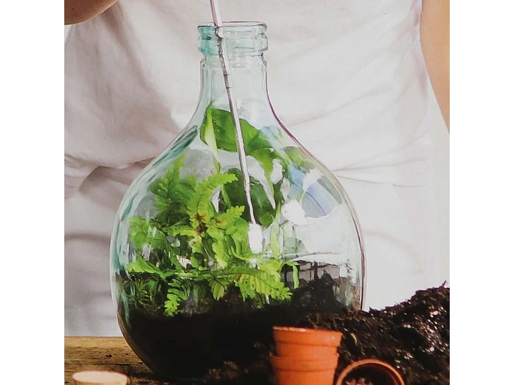 Kit terrarium végétal à faire soi-même DIY 5 litres