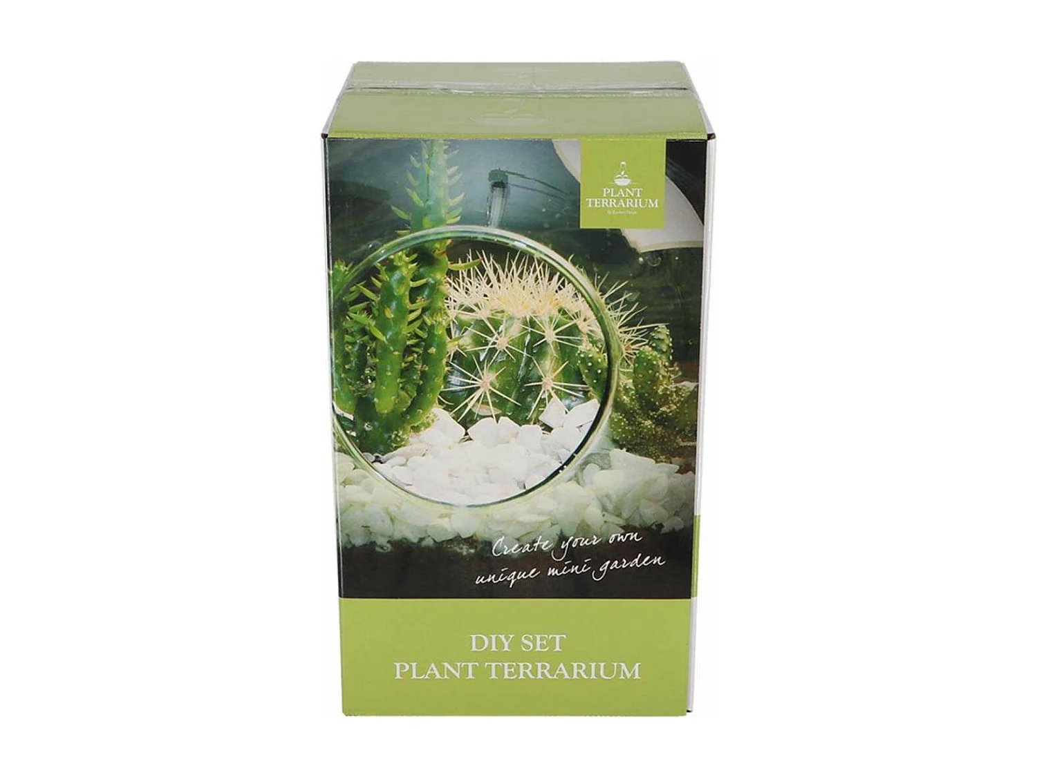 Kit terrarium végétal à faire soi-même DIY 3 litres