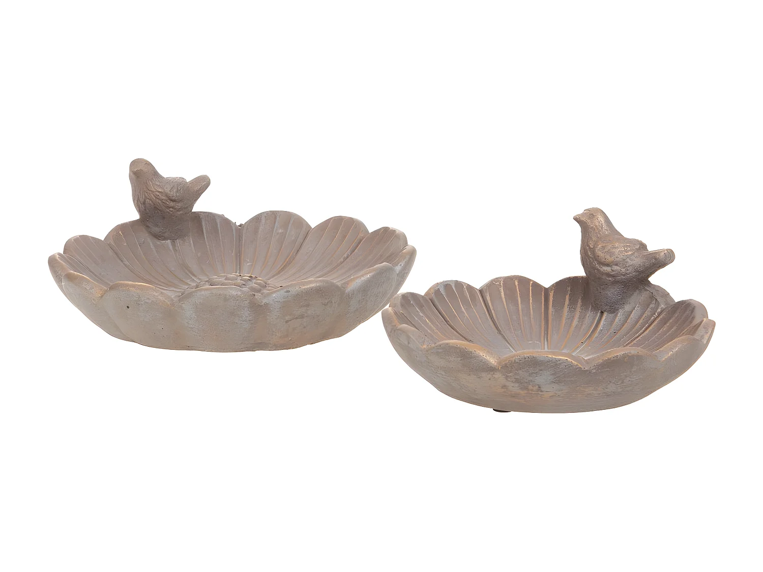 Bain oiseau doré grand modèle