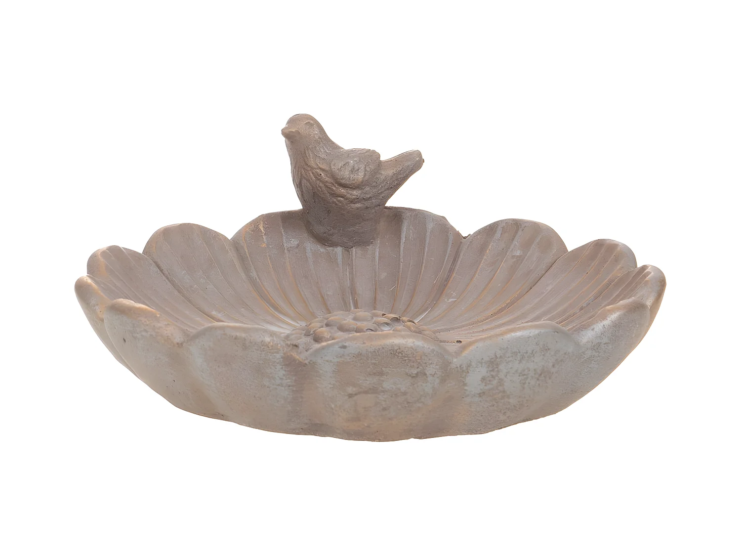 Bain oiseau doré grand modèle