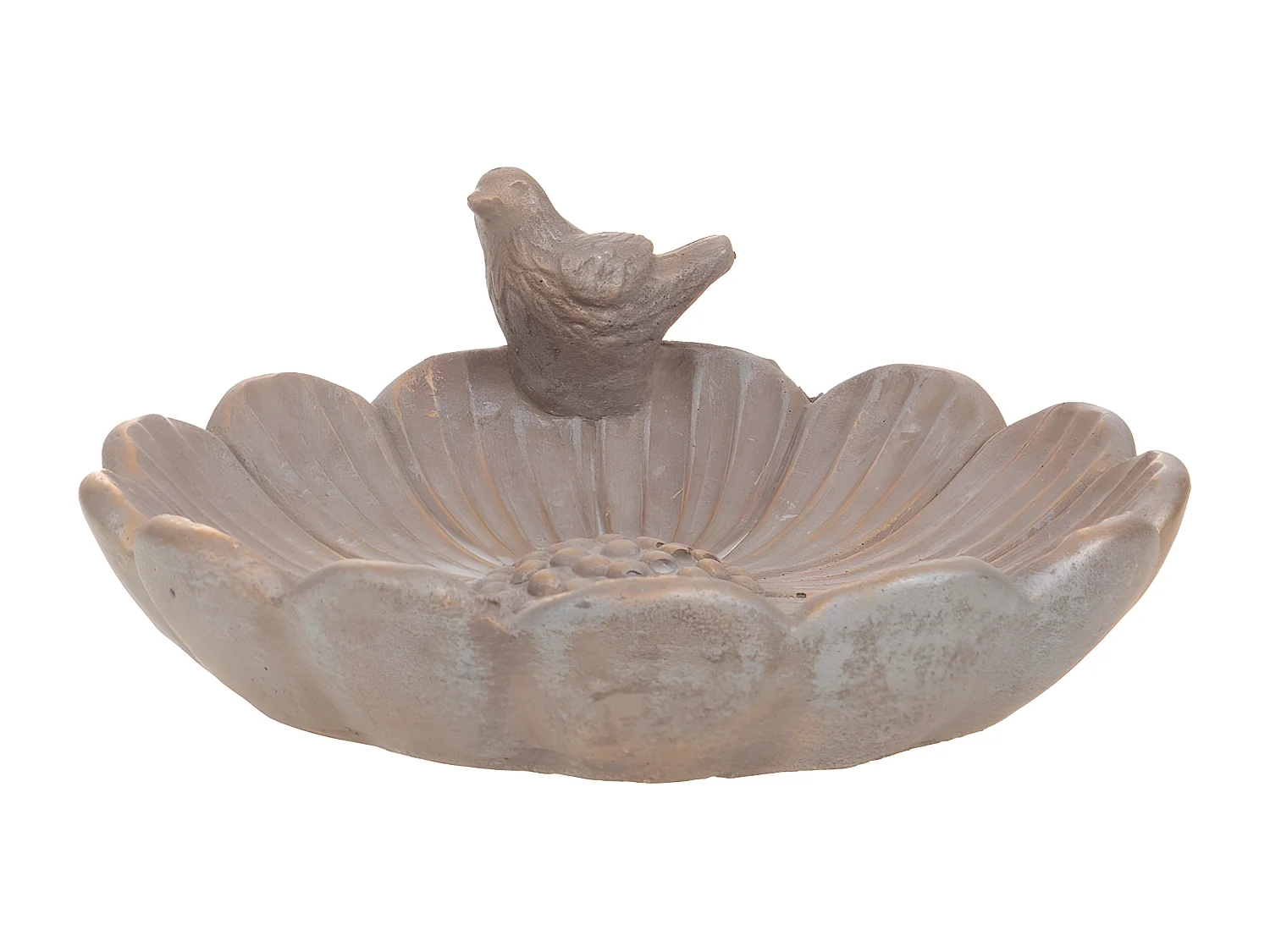 Bain oiseau doré grand modèle