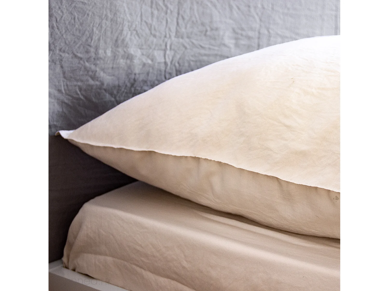 Drap housse uni 160x200 cm MILA polyester micro lavée marron sable