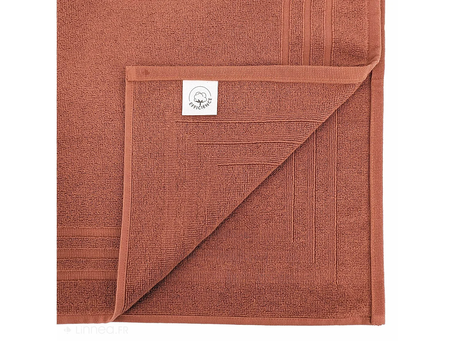 Tapis de bain 50x70 cm EFFICIENCE PURE rouge Country