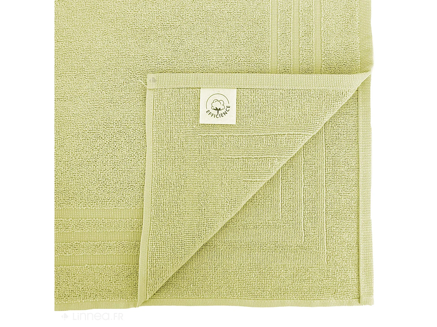 Tapis de bain 50x70 cm EFFICIENCE PURE vert Menta