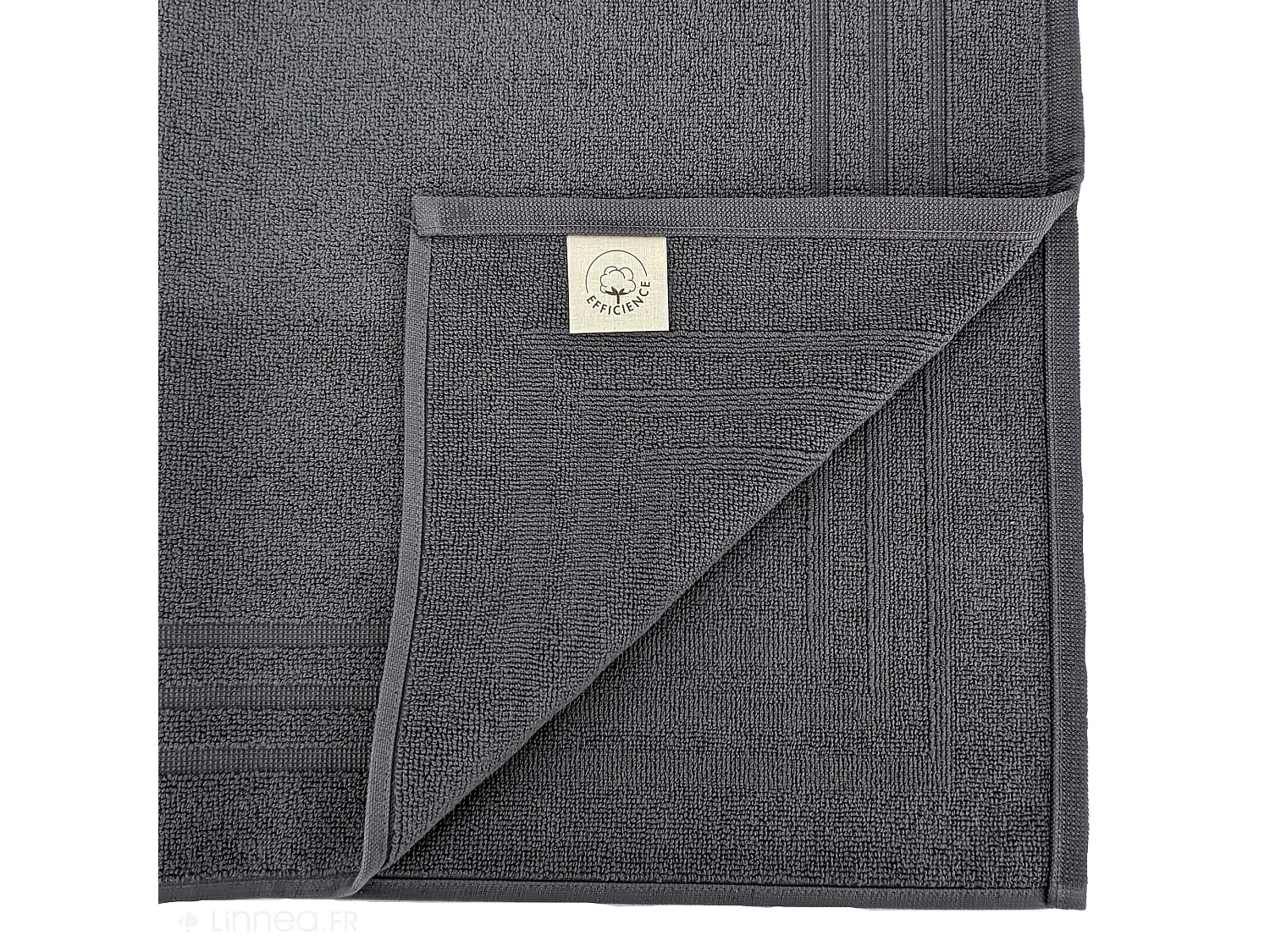 Tapis de bain 50x70 cm EFFICIENCE PURE noir Iron