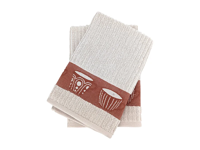 Lot de 2 torchons de cuisine pur coton 50x50 cm DELICARA rouge brique