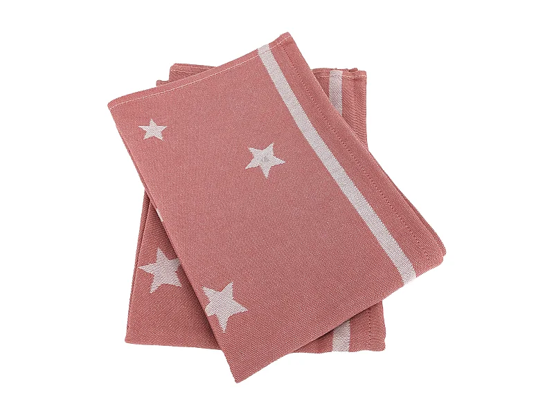 Lot de 2 torchons de cuisine 50x70 cm NOVA 100% Coton brique