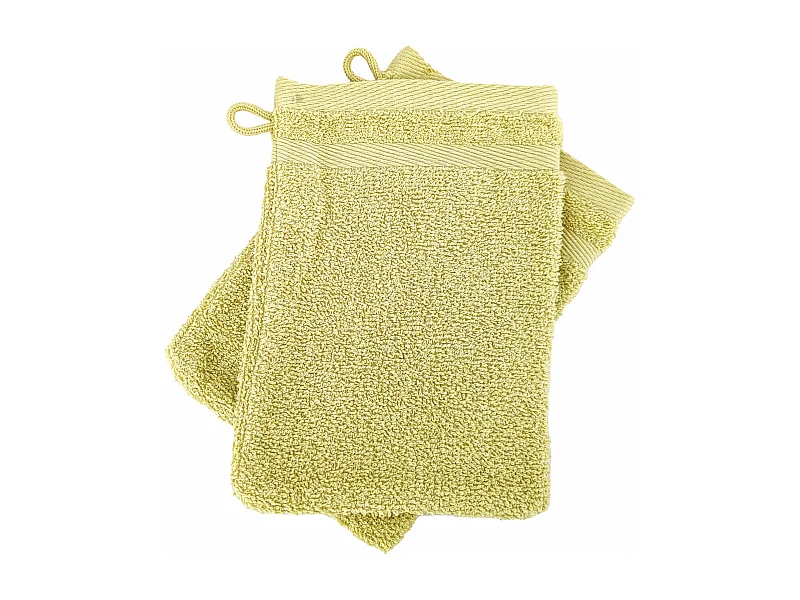 Lot de 2 gants de toilette 16x21 cm EFFICIENCE PURE menta
