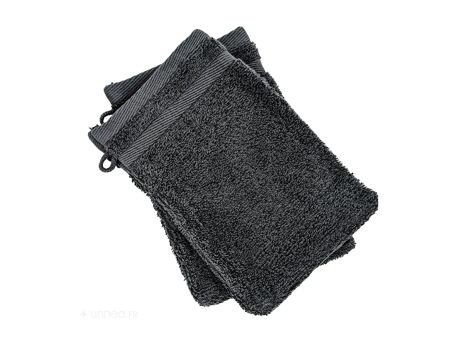 Lot de 2 gants de toilette 16x21 cm EFFICIENCE PURE iron