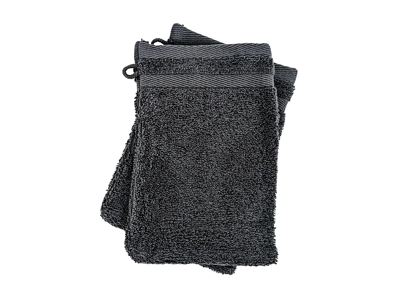 Lot de 2 gants de toilette 16x21 cm EFFICIENCE PURE iron