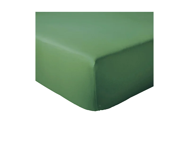 Drap housse 90x200 cm bonnet 30 coton ÉVASION Vert fougère