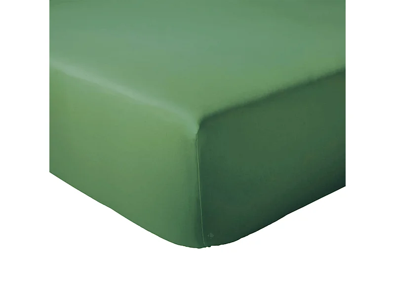Drap housse 90x200 cm bonnet 30 coton ÉVASION Vert fougère