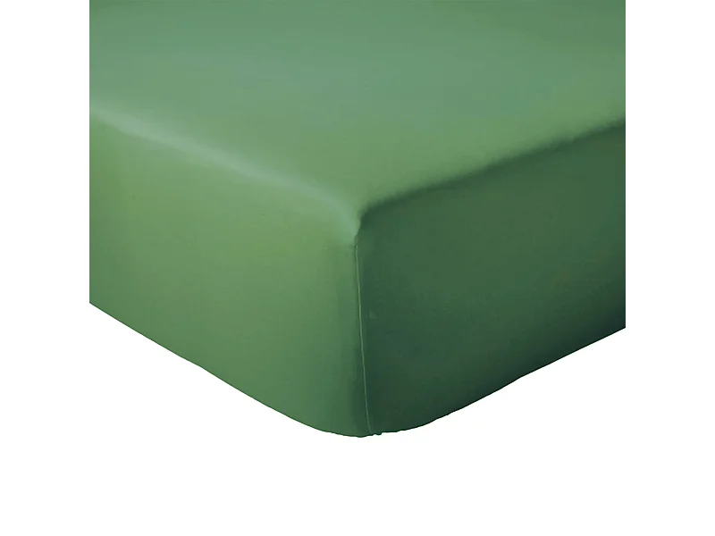 Drap housse 120x190 cm bonnet 23 cm coton ÉVASION Vert fougère