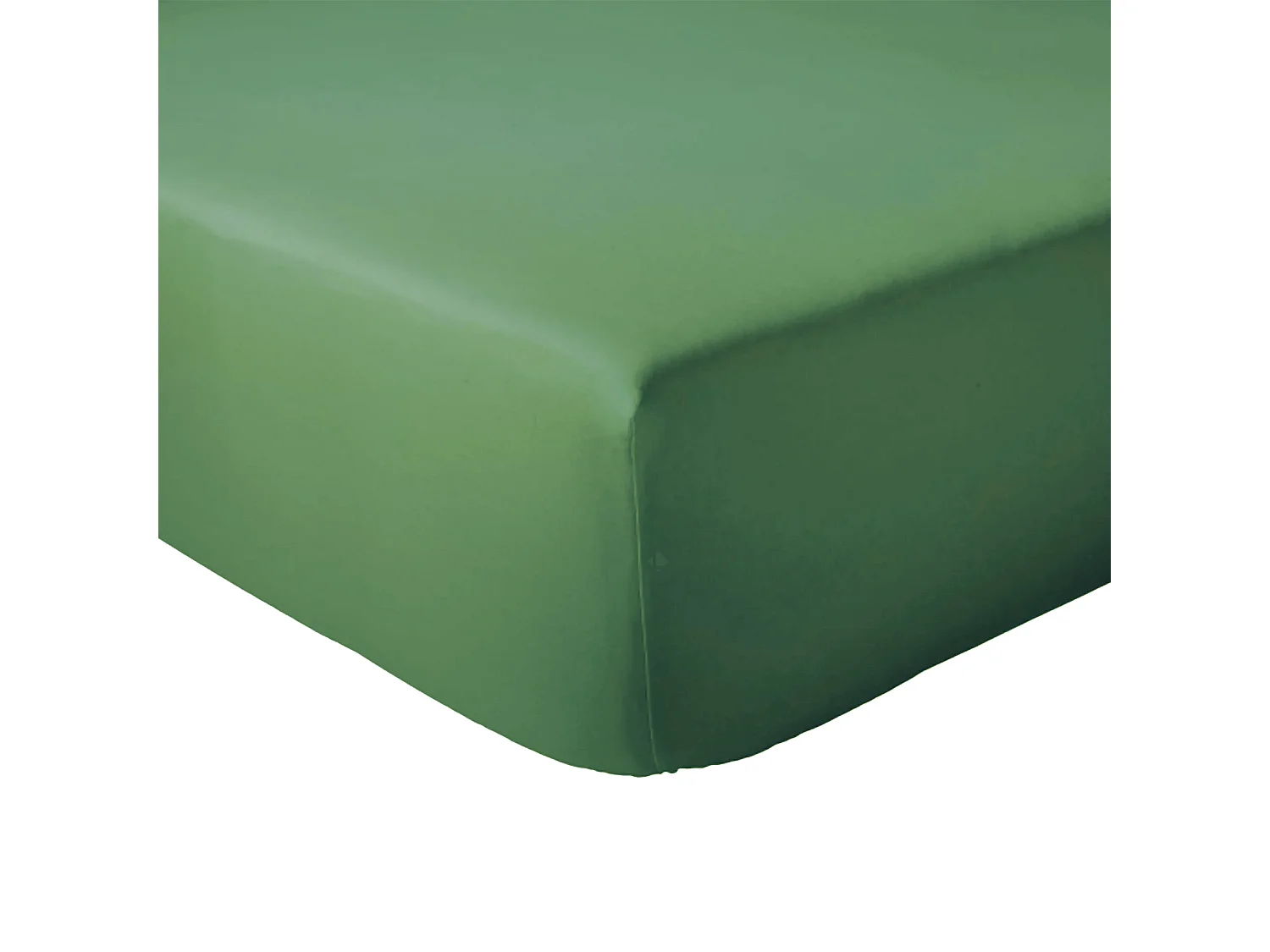 Drap housse 120x190 cm bonnet 23 cm coton ÉVASION Vert fougère