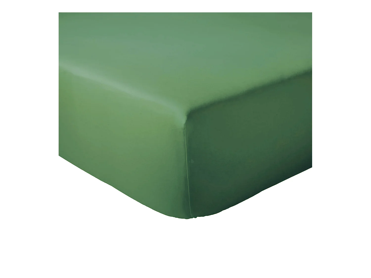 Drap housse 120x190 cm bonnet 23 cm coton ÉVASION Vert fougère