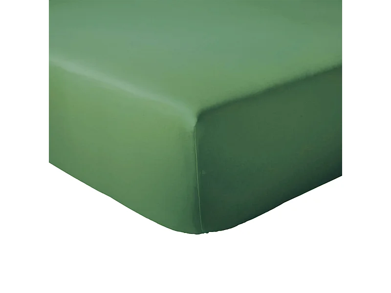 Drap housse 90x190 cm bonnet 23 coton ÉVASION Vert fougère