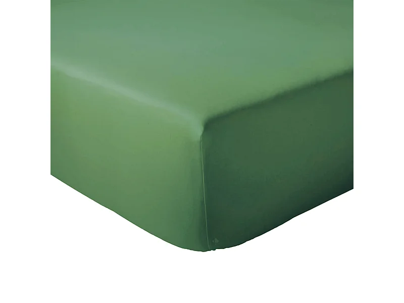 Drap housse 90x190 cm bonnet 30 coton ÉVASION Vert fougère