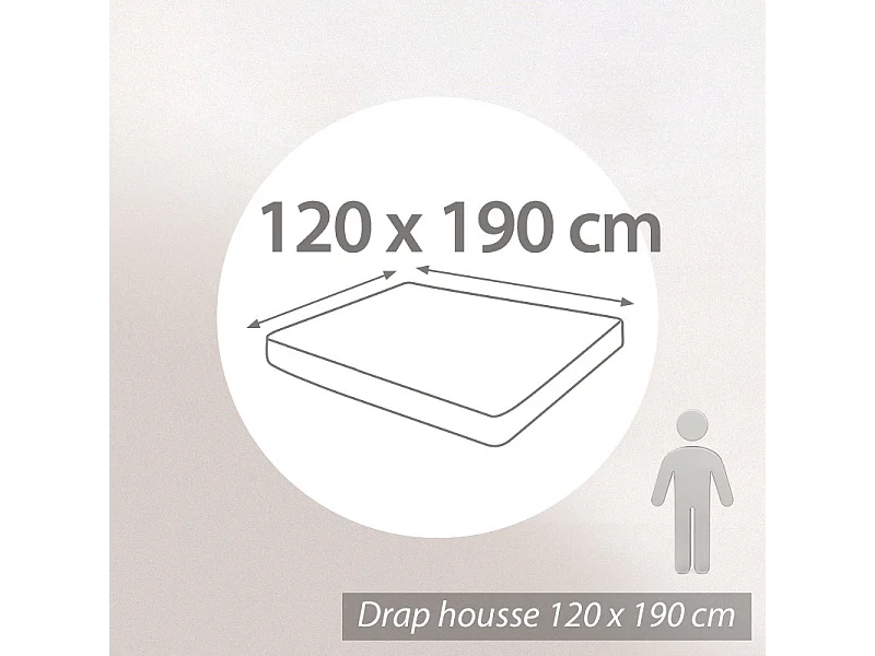 Drap housse 120x190 cm bonnet 30 coton ÉVASION Vert fougère