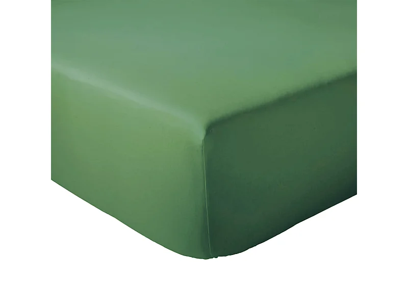 Drap housse 120x190 cm bonnet 30 coton ÉVASION Vert fougère