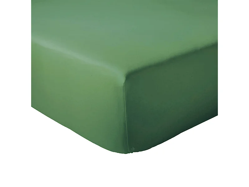 Drap housse 80x200 cm bonnet 30 coton ÉVASION Vert fougère