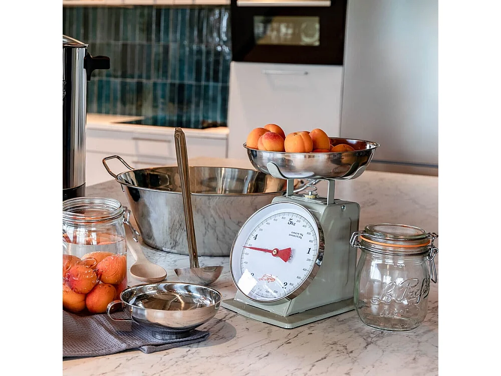 Balance mécanique grise 5 kg