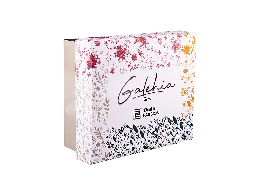Coffret de 4 mugs Galehia 34 cl
