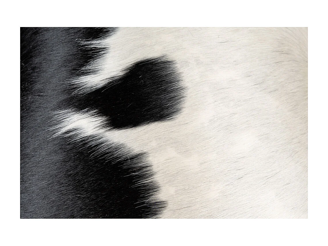 Lampadaire en métal et peau de vache